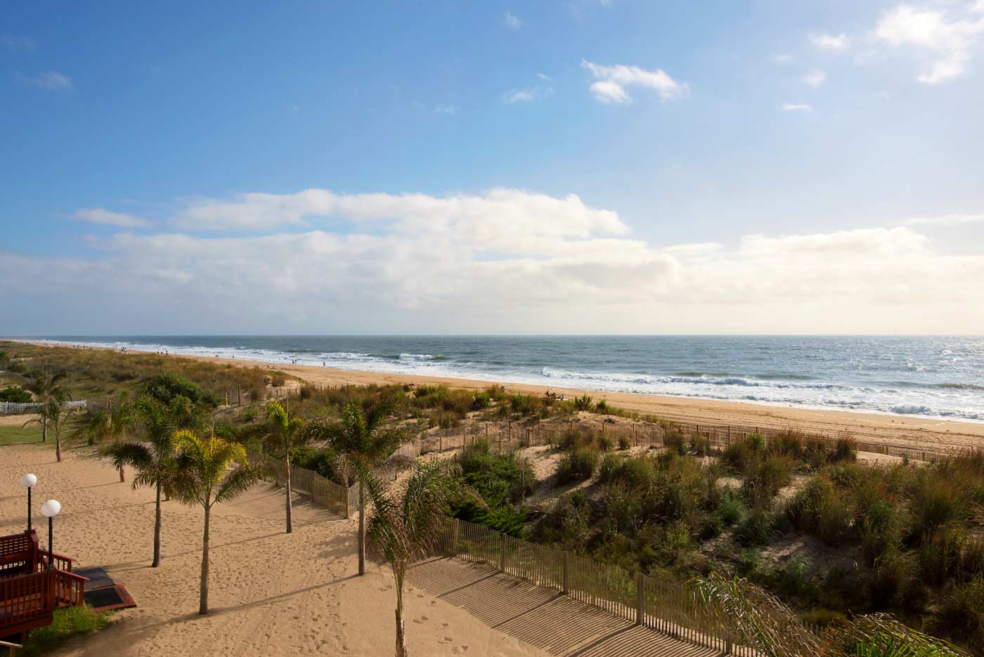 oceanfront beach view with dunes and palm tress